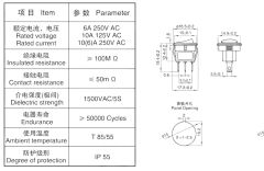Yuvarlak Mini Anahtar Siyah On-Off 2Pin AF134E