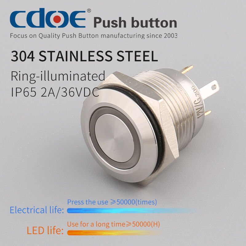 16mm Metal Mavi Ledli Buton Paslanmaz/Çelik Ip65 Cd36S